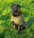 Vi introducerer den nye Alan Paine Tweed Dog Coat til vores efterårsvinterkollektion. Hold din bedste ven varm, tør og stilfuld, mens du er på farten. Størrelsesguide • XS - Ryglængde 30 cm • S - Ryglængde 40cm • M - Ryglængde 50cm • L - Ryglængde 60cm • XL - Ryglængde 70 cm Funktioner Fleece foret. • Hook and Loop Justerbar kropsstrop. • Forside Ark og løkke Fastgørelse. • Nylon brusefast ydre med tweed paneler.