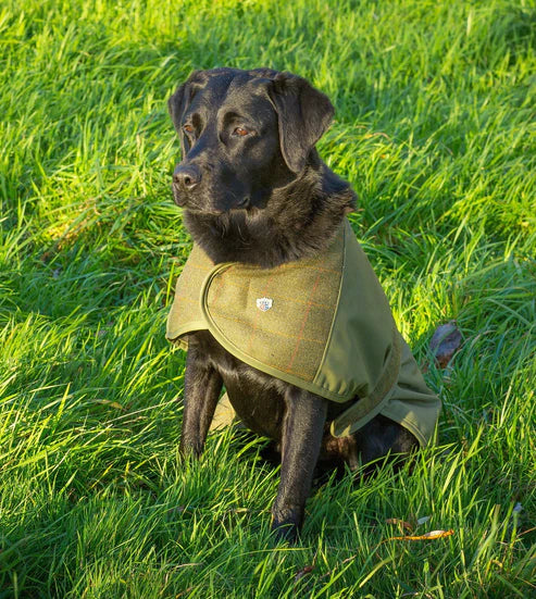 Vi introducerer den nye Alan Paine Tweed Dog Coat til vores efterårsvinterkollektion. Hold din bedste ven varm, tør og stilfuld, mens du er på farten. Størrelsesguide • XS - Ryglængde 30 cm • S - Ryglængde 40cm • M - Ryglængde 50cm • L - Ryglængde 60cm • XL - Ryglængde 70 cm Funktioner Fleece foret. • Hook and Loop Justerbar kropsstrop. • Forside Ark og løkke Fastgørelse. • Nylon brusefast ydre med tweed paneler.