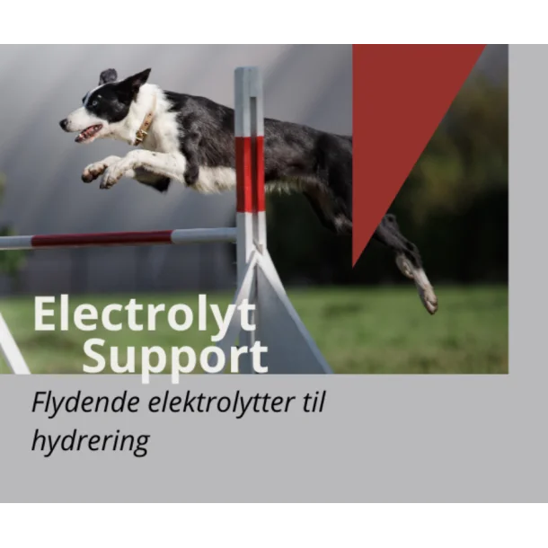 Electrolyt Support | Tilskud til aktive hunde [DK]
