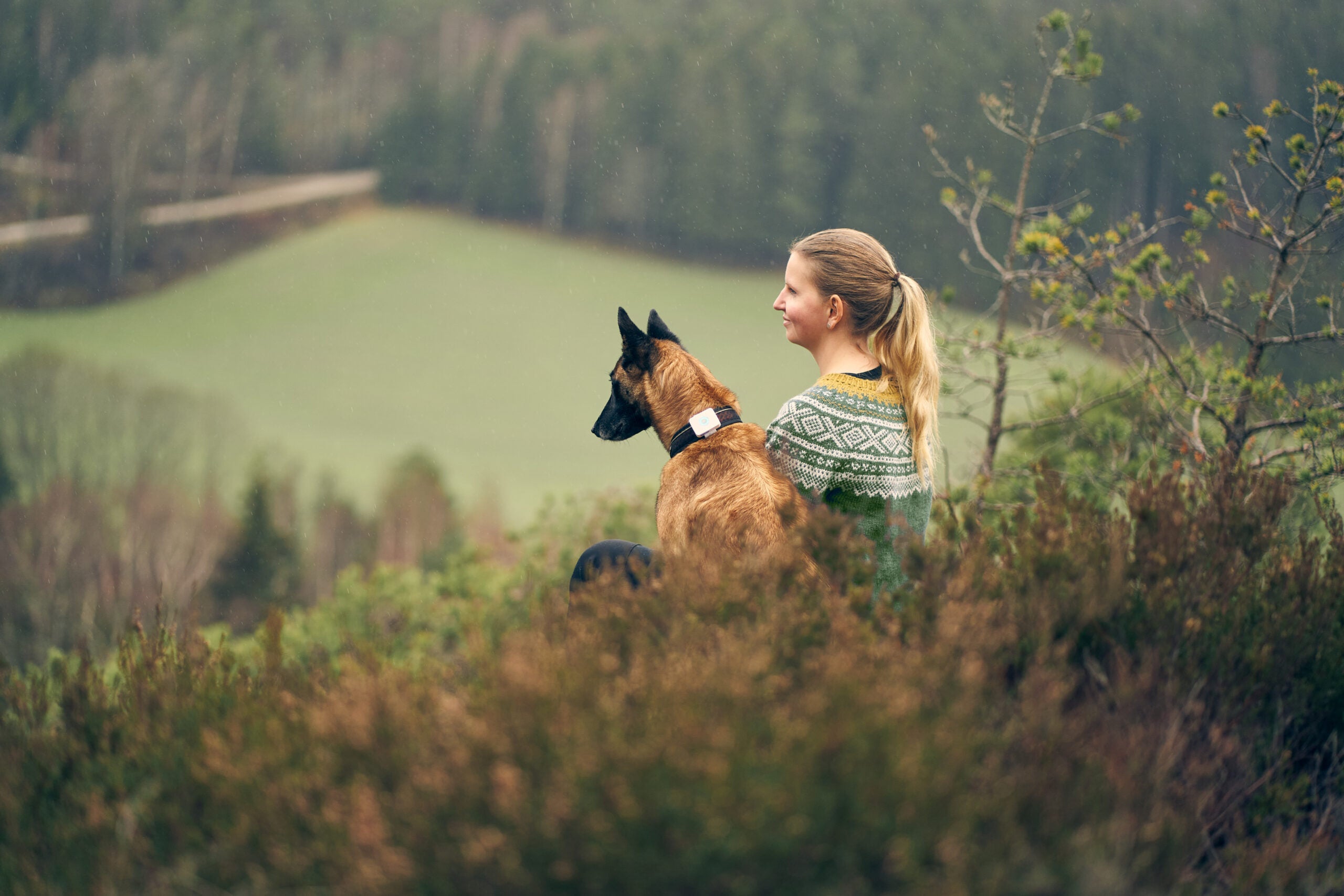 Lildog - 5G-sporing og aktivitetsmåler for hund og kat