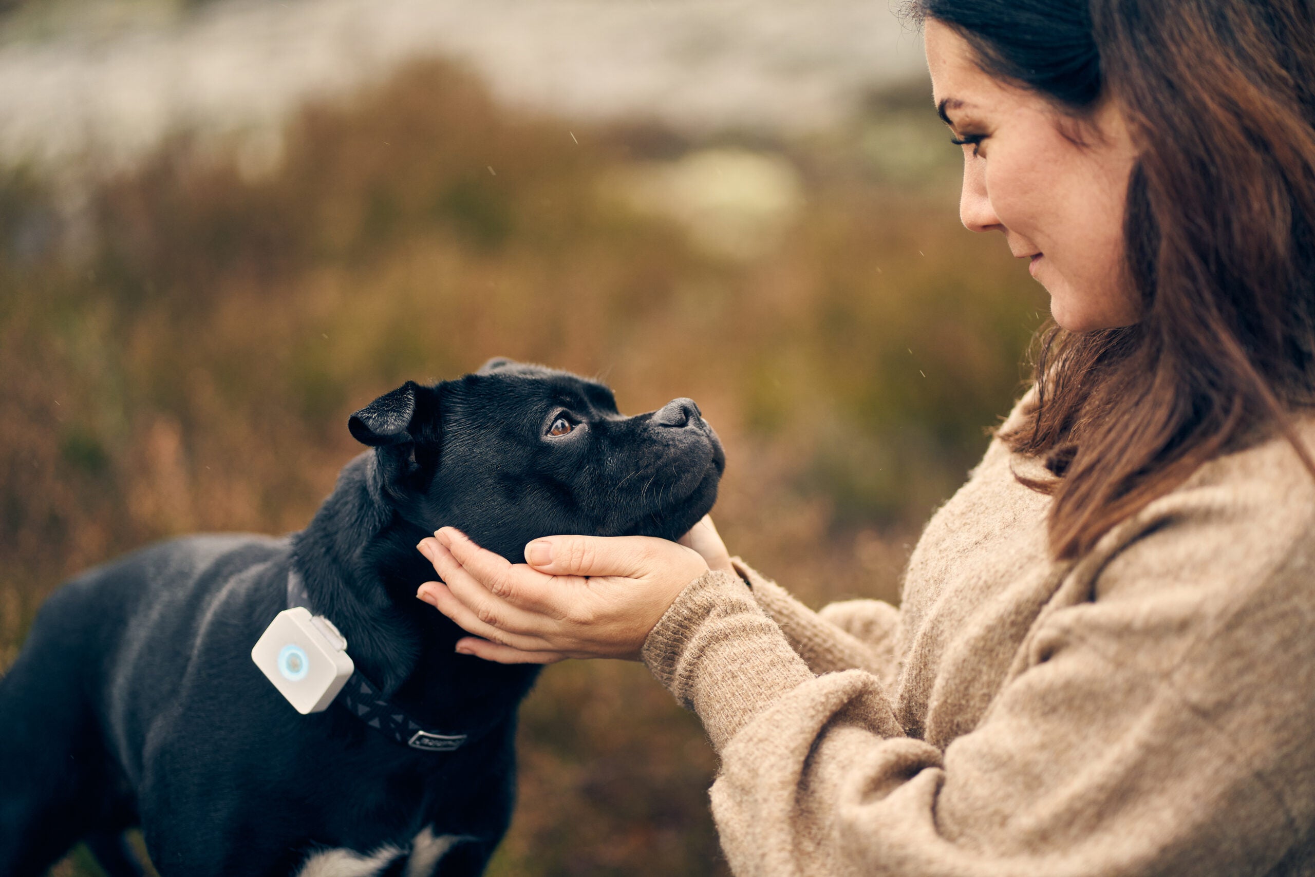 Lildog - 5G-sporing og aktivitetsmåler for hund og kat