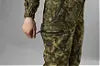 SEELAND - Avail camo bukser