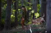 SEELAND - Larch membran-buks_burnt clay